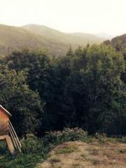 Peninsula Asteroid l